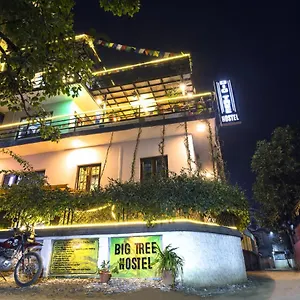 Hostel Big Tree
